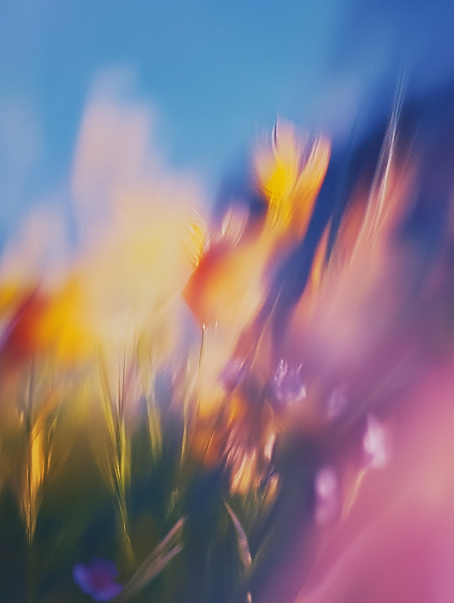 Abstract Art