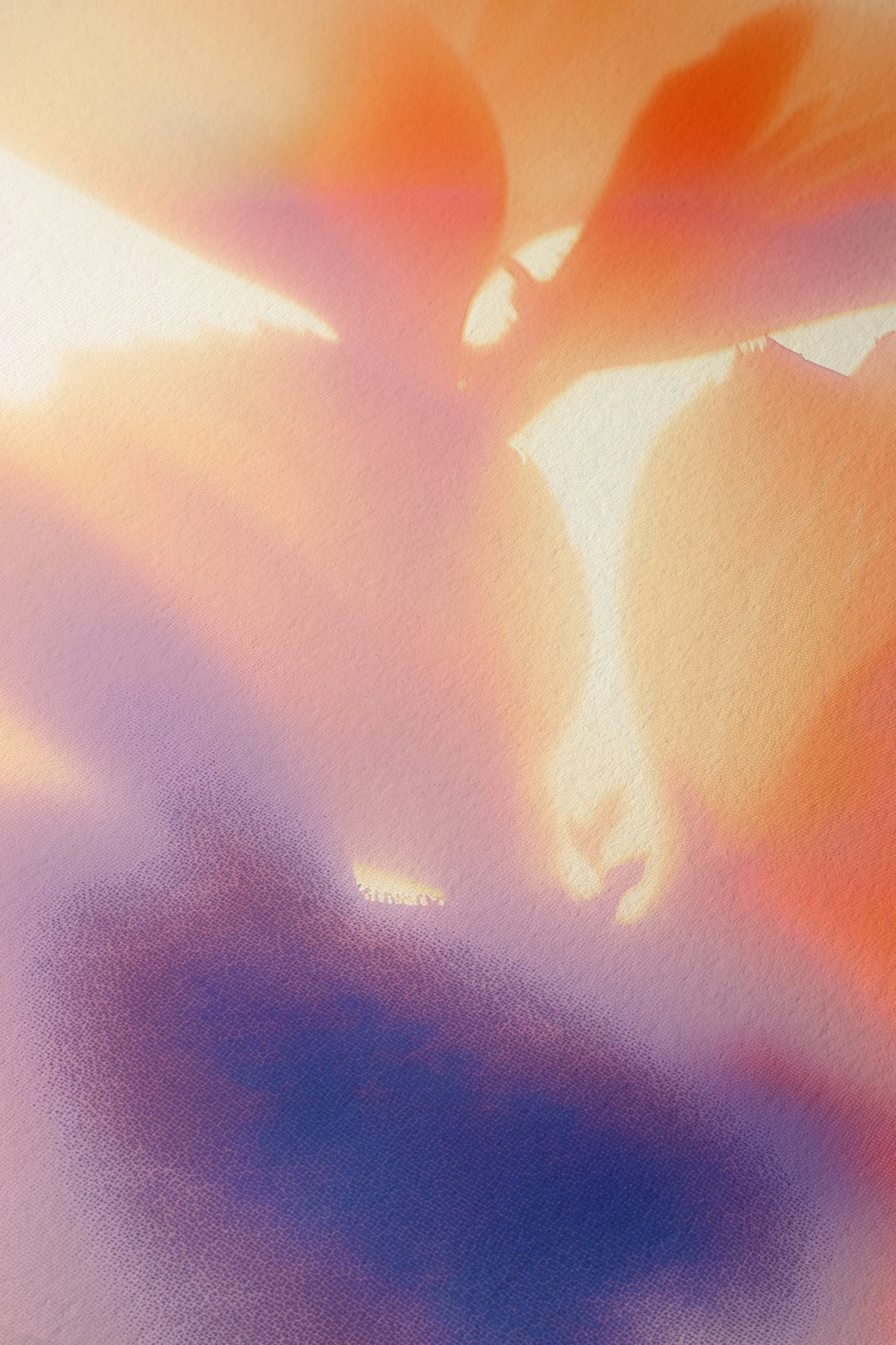 Luminous Petals Orange & Violet - Framed Canvas - And A Little More