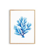 Blue Coral Wall Art Print, Coastal Wall Decor, Beach House Printable Art, Nautical Bathroom Decor, Ocean Inspired Minimalist Art