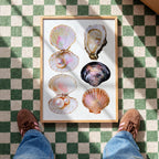 Seashell Wall Art Print, Oyster Pearl Poster, Coastal Beach Decor