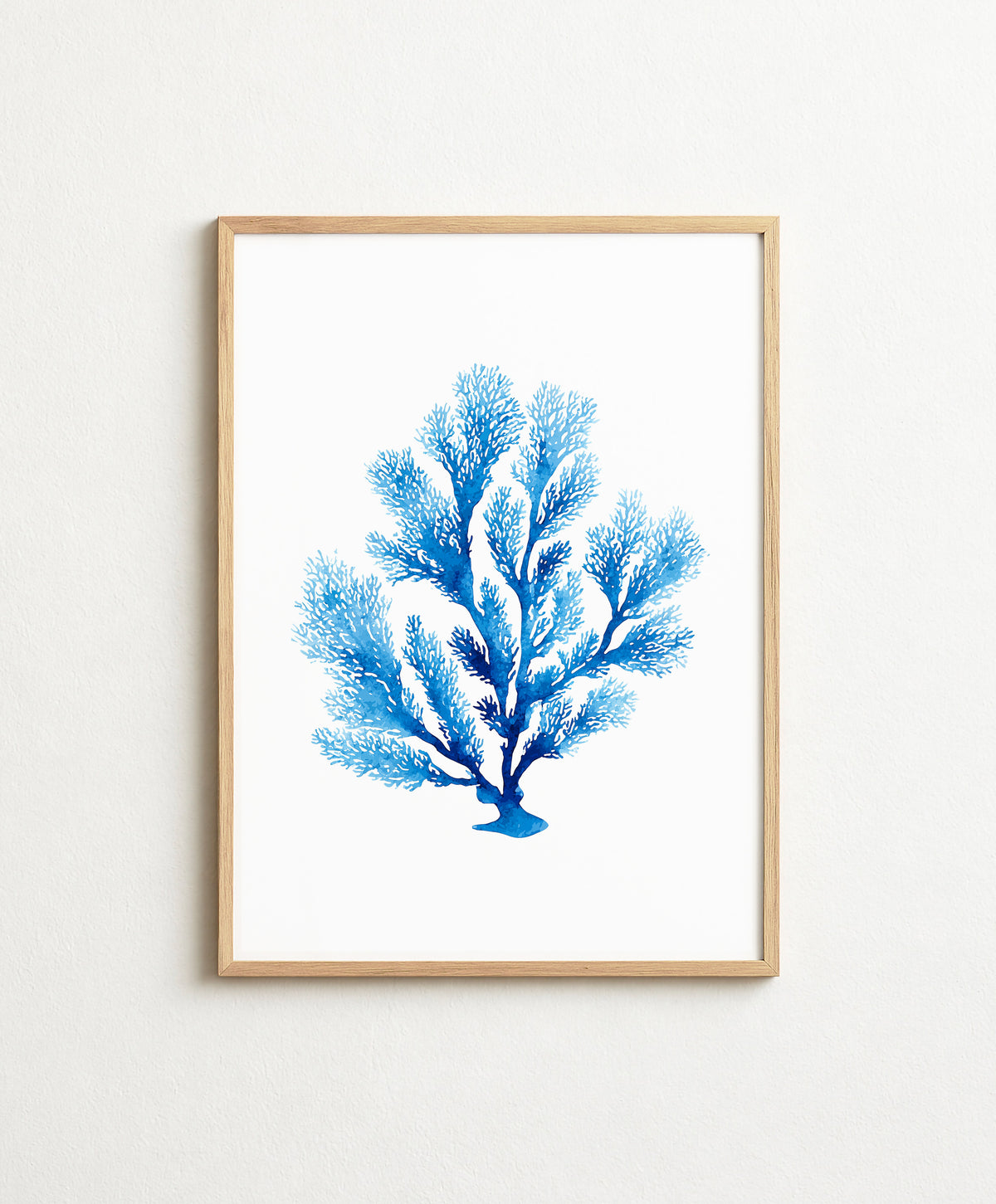 Blue Coral Branch