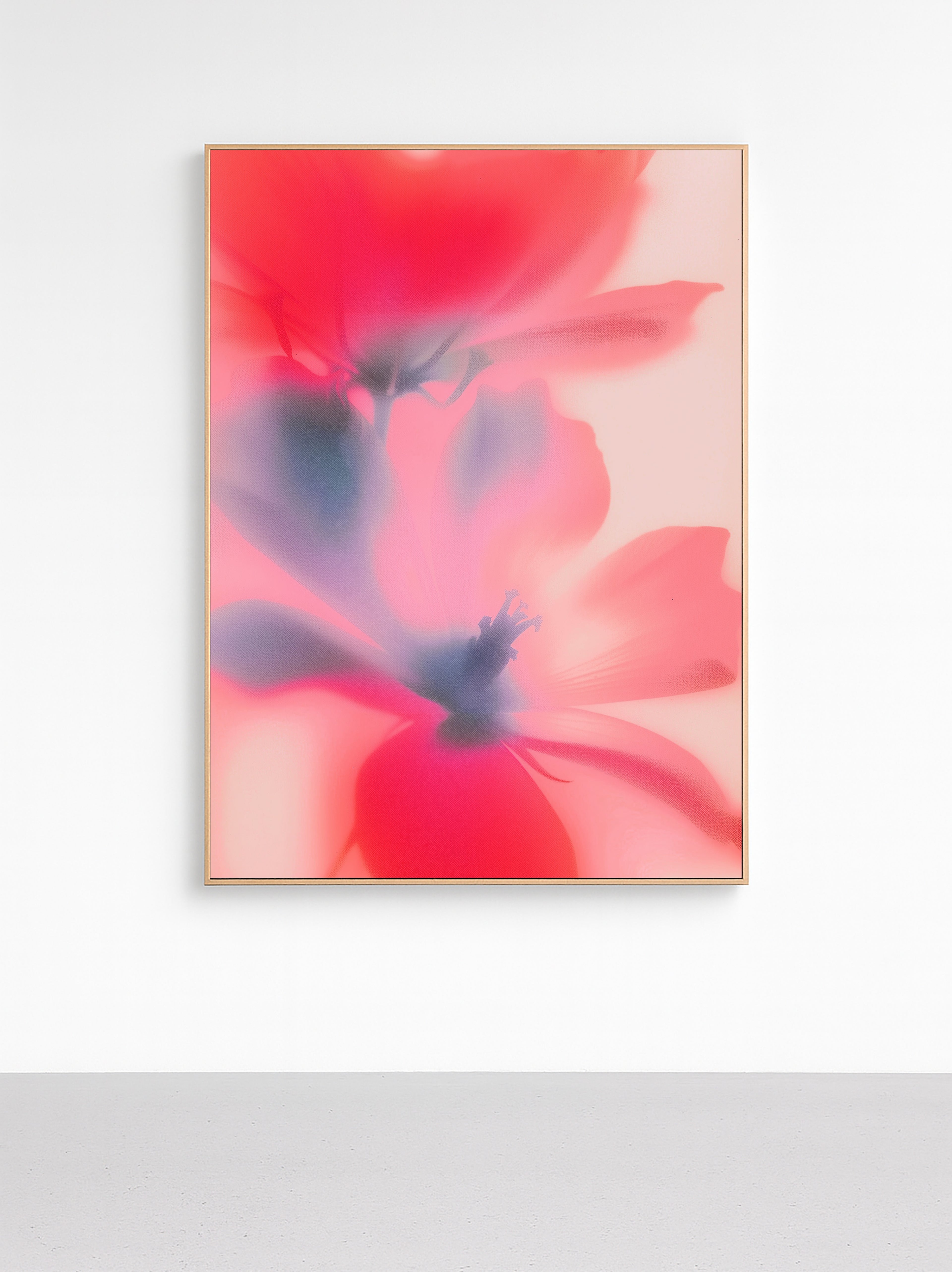 Red and violet abstract floral with soft blurred edges