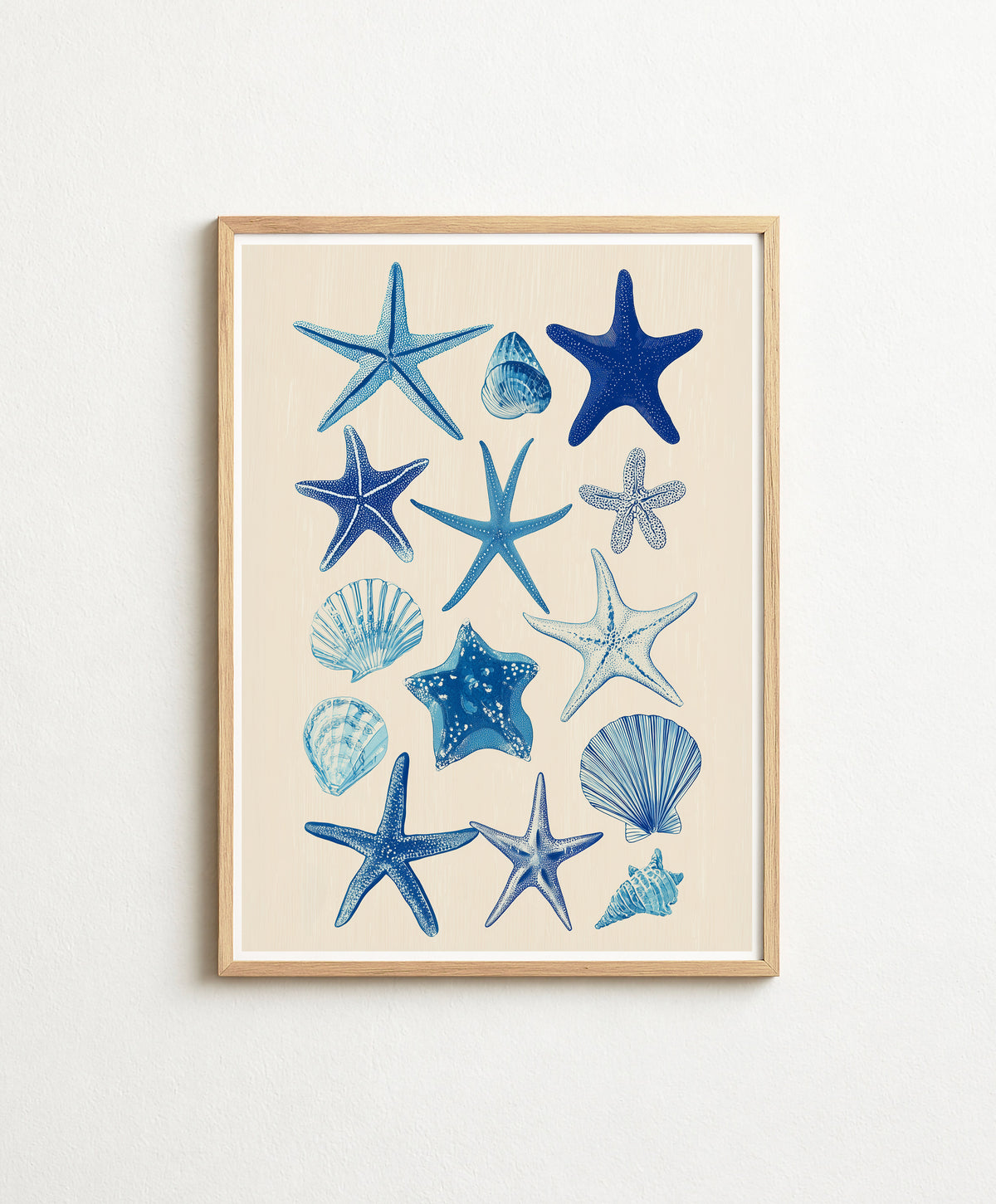 Cobalt Starfish