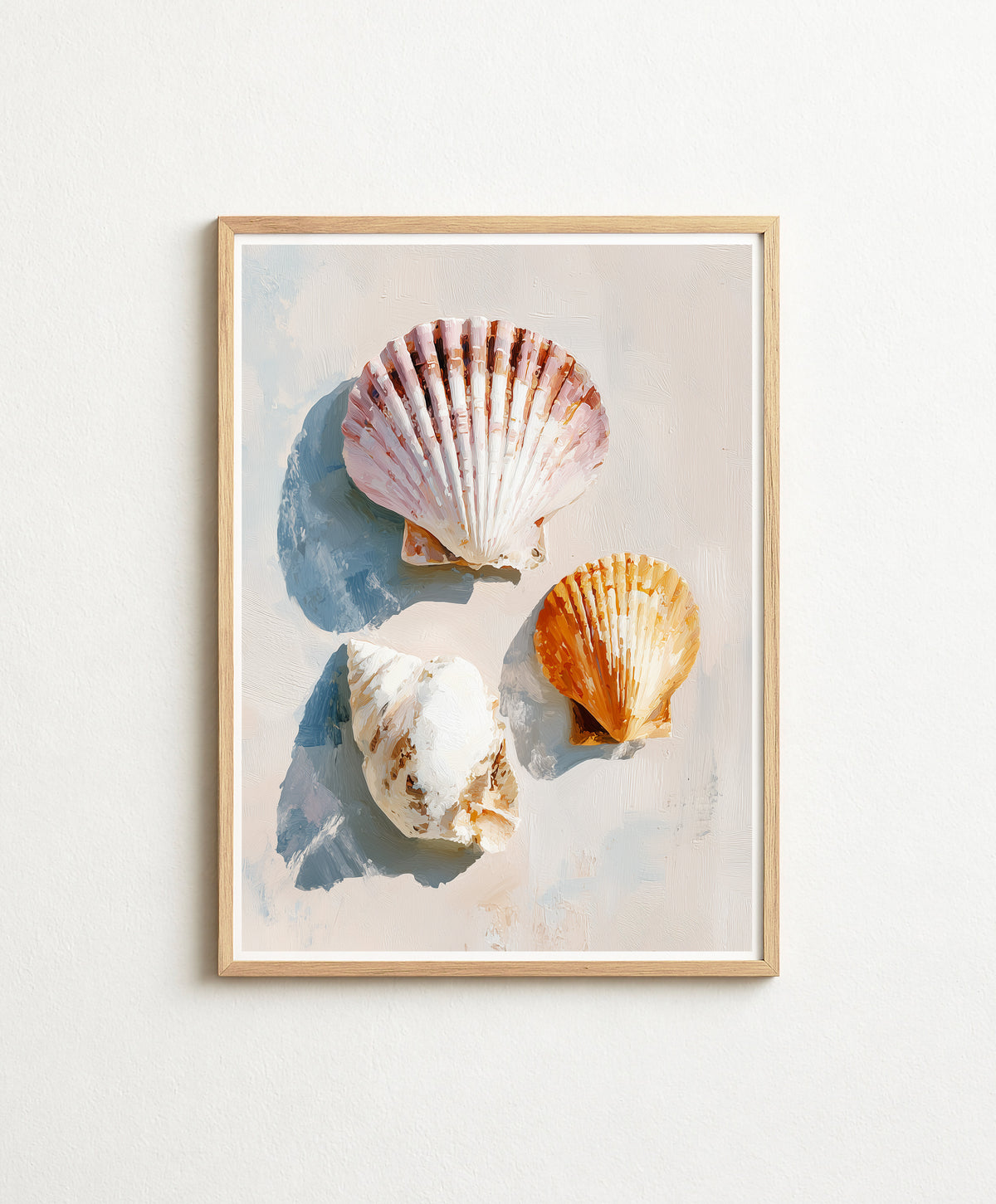 Coral Shell Study