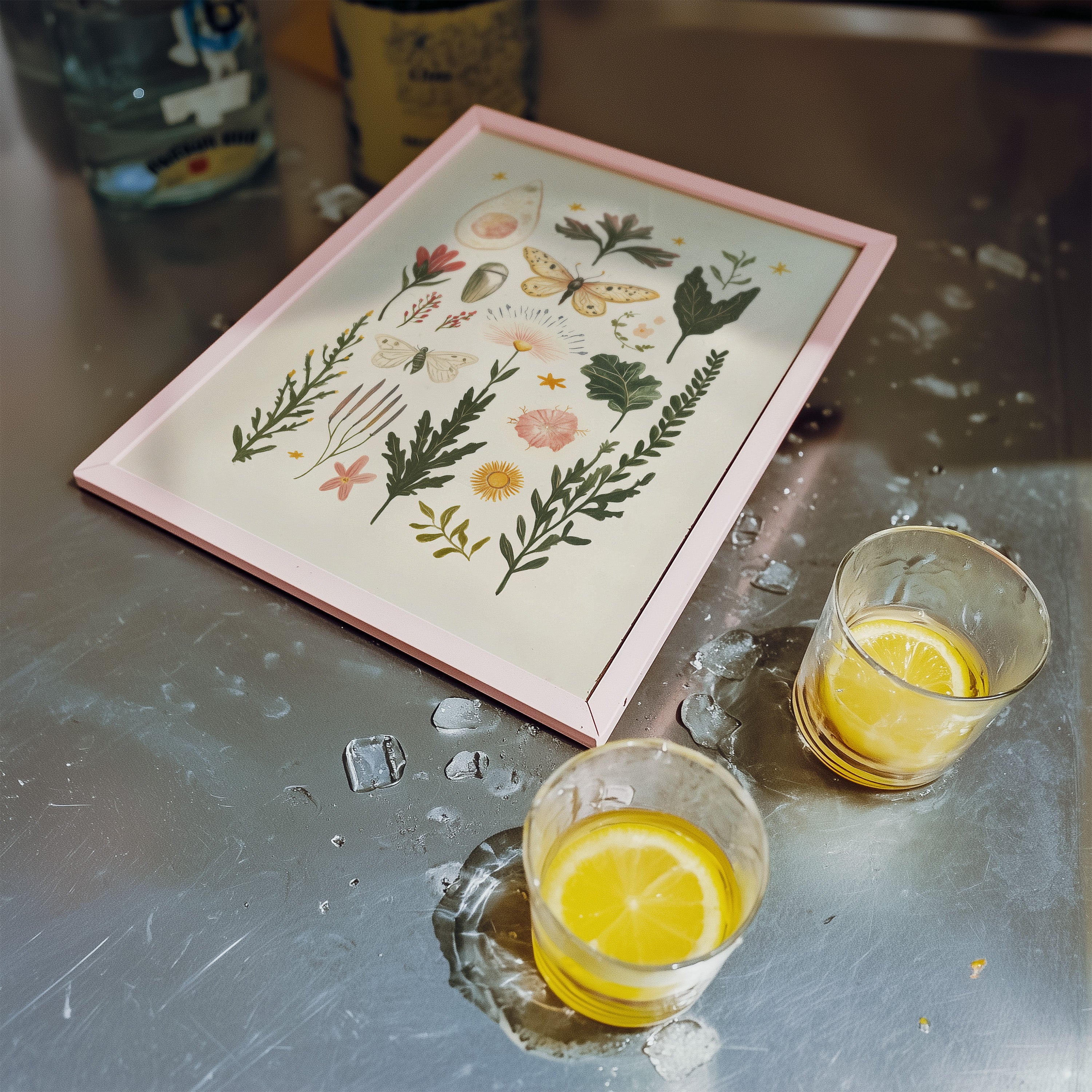 Moths & Wild Botanicals – Vintage Nature Art Print - And A Little More