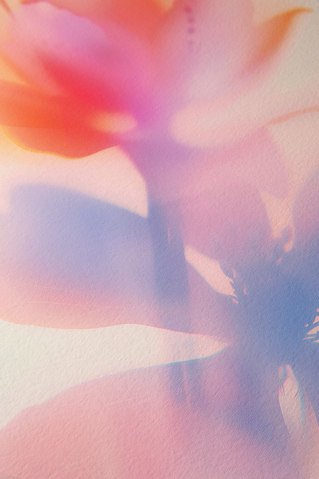 Soft Focus Abstract Floral - Framed Canvas - And A Little More