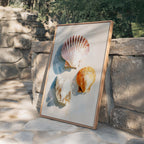 Seashell Wall Art Print, Scallop Shell Poster, Neutral Coastal Bathroom Decor
