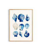 Blue Seashell Art Print, Coastal Bathroom Poster, Ocean Shell Wall Decor