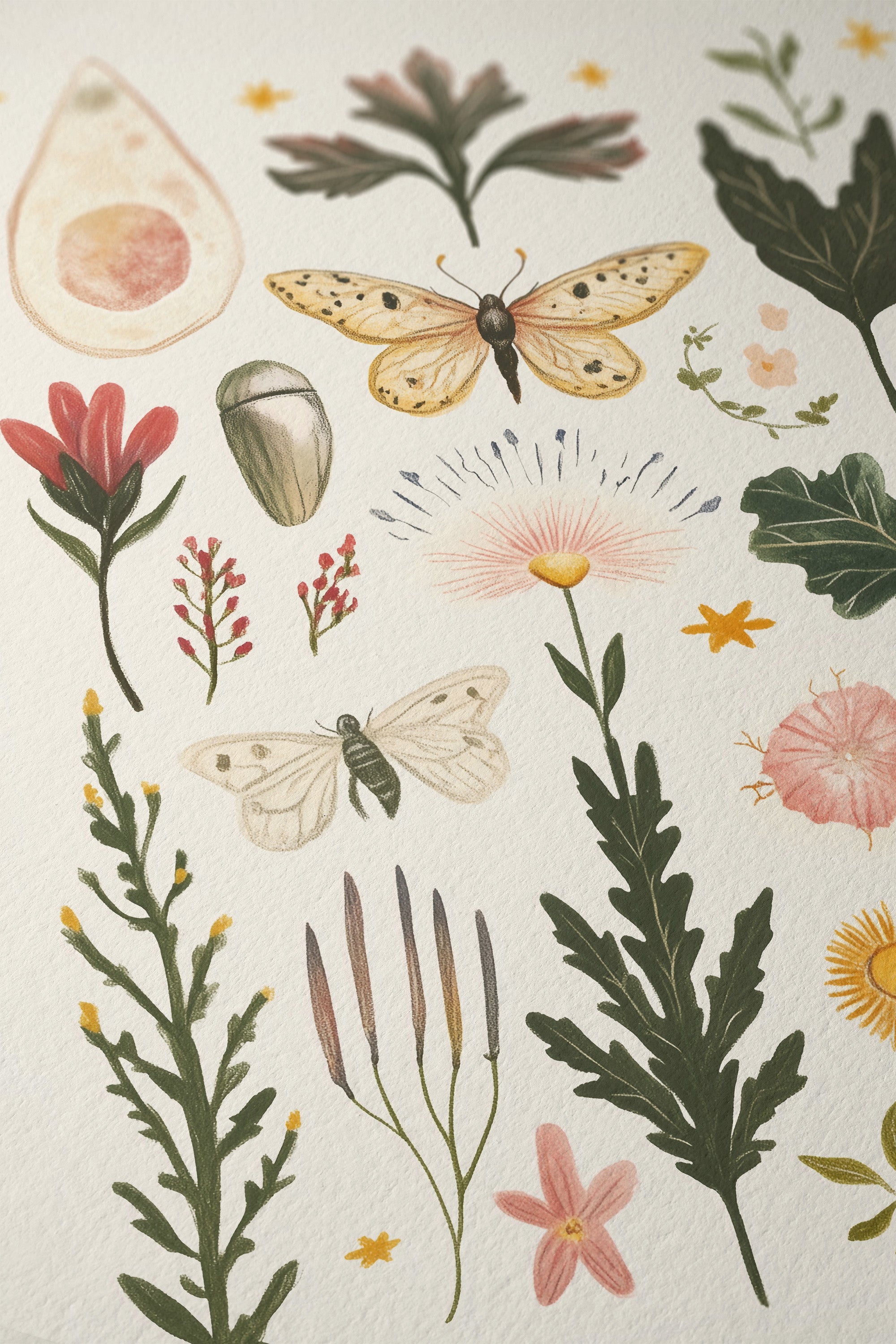 Moths & Wild Botanicals – Vintage Nature Art Print - And A Little More