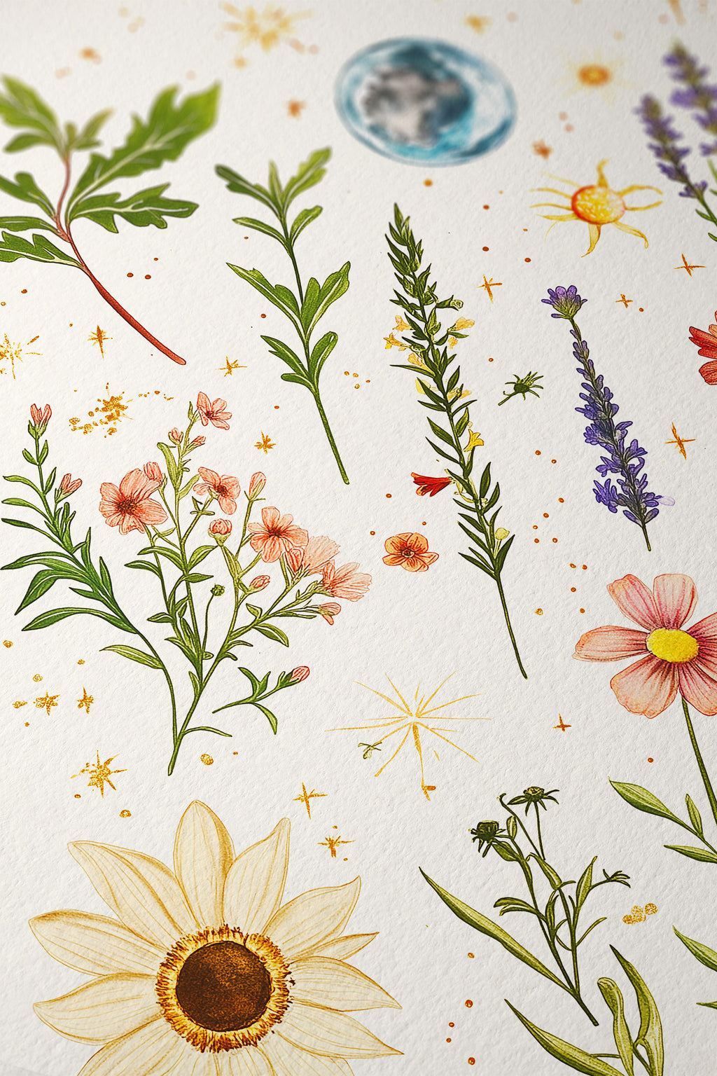 Cosmic Florals – Celestial Botanical Wall Art - And A Little More
