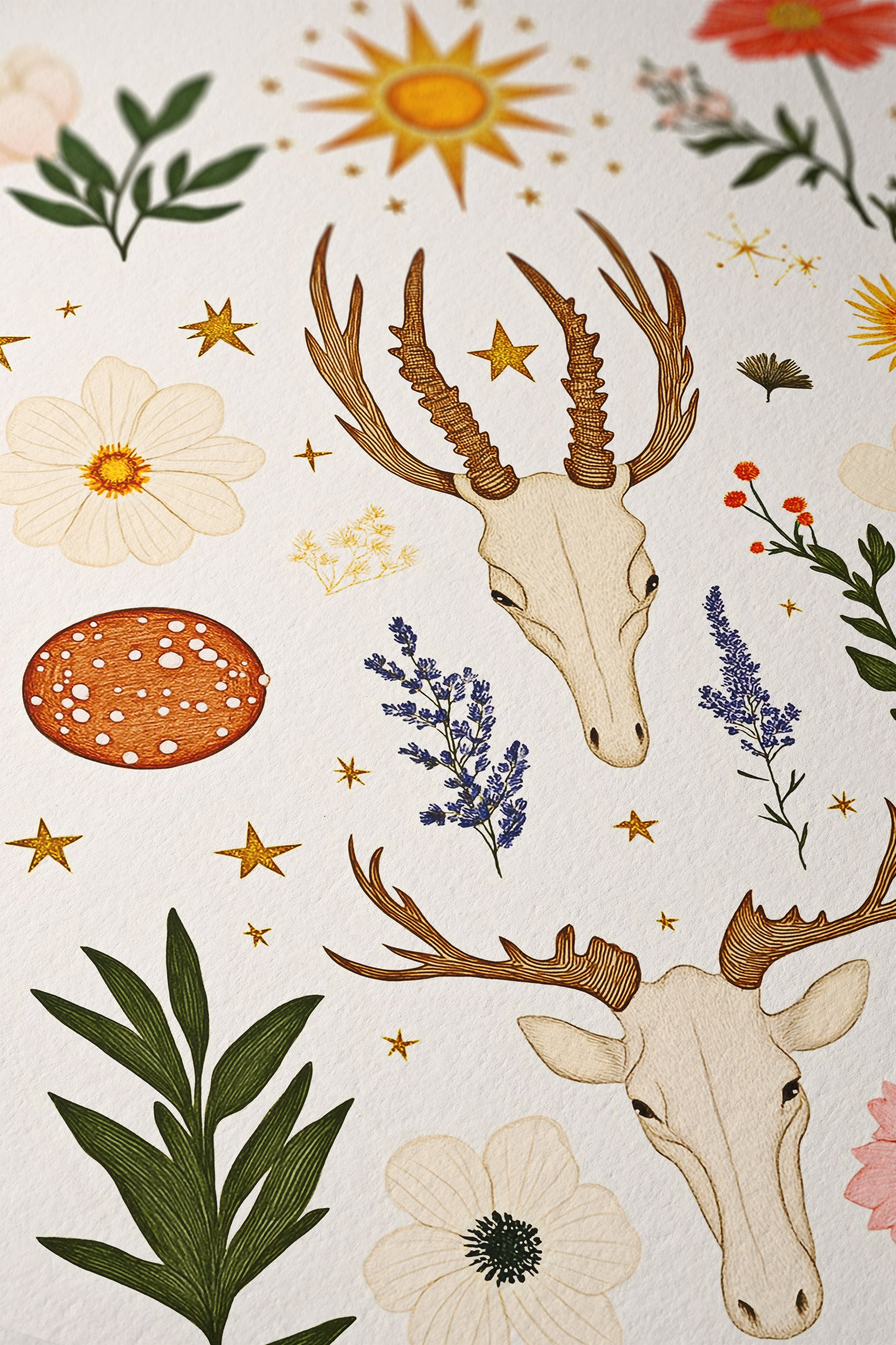 Celestial Antelope – Starry Botanical Skull Print - And A Little More