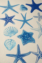 Starfish Wall Art Print, Blue Seashell Poster, Coastal Bathroom Decor