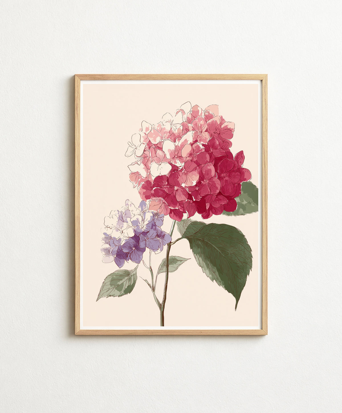Hydrangea No. 02