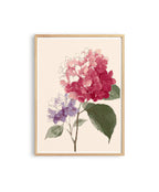 Hydrangea Printable Art, Soft Floral Download for Bedroom or Bathroom Decor