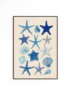 Starfish Wall Art Print, Blue Seashell Poster, Coastal Bathroom Decor