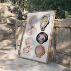 Seashell Wall Art Print, Oyster Pearl Poster, Coastal Beach Decor