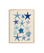 Starfish Wall Art Print, Blue Seashell Poster, Coastal Bathroom Decor