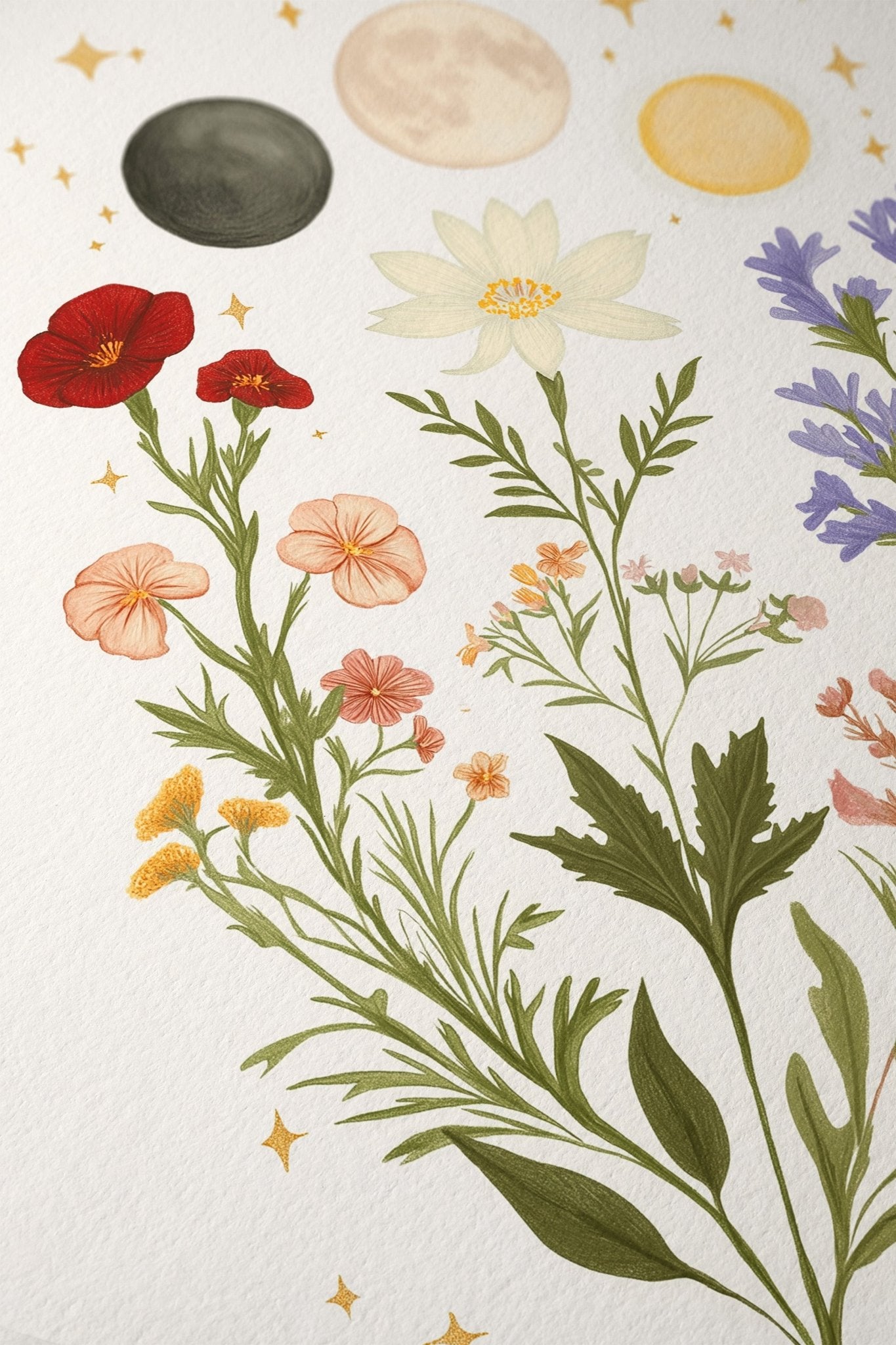 Moon Phases Botanical Art Print canvas wall art – And A Little More